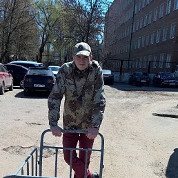 ����� ����������, 29 ���, ������