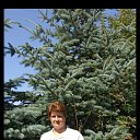 ���� ��������, ����� - ��������� 15 ������ 2025 � ������ ���� ����������