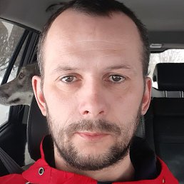 , , 41 
