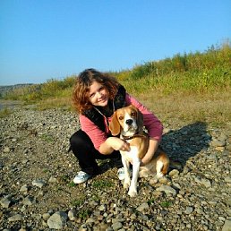 �����, �������, 37 ���