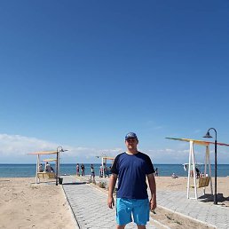 �������, ������, 41 ���