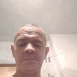 �����, ������, 46 ���