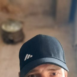 , 41 , -