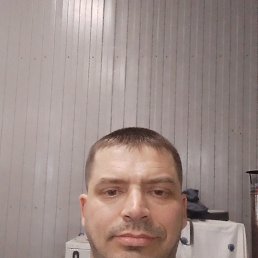 , 38 , 