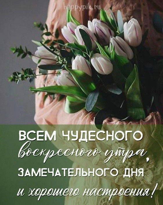   ,    . - 22  2025  06:08