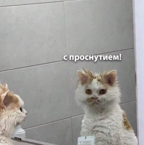 Интересно, а какая она на работе? Я каждый рабочий день: