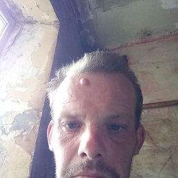 , 33 , 