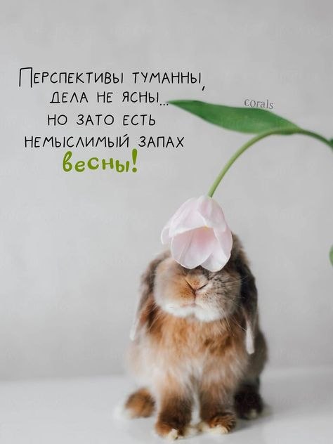   - 5  2025  08:20