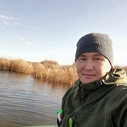 , 42, 