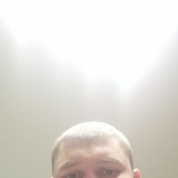 , 37, 