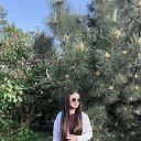 ���� �����, ���������, 23 ���� - ��������� 8 ���� 2026 � ������ ���� ����������