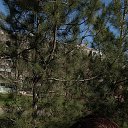 ���� ��������, �����������, 28 ��� - ��������� 17 ������ 2024 � ������ ���� ����������