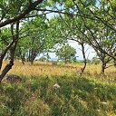  Kjetil, , 62  -  3  2025