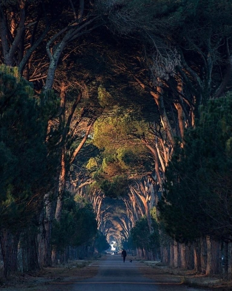    , .  ? - 3