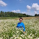 ���� �����, �������� - ��������� 8 ������� 2024 � ������ ���� ����������