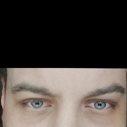 , 38, 