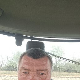, 53 , 