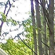 ������, 54 ����, ������