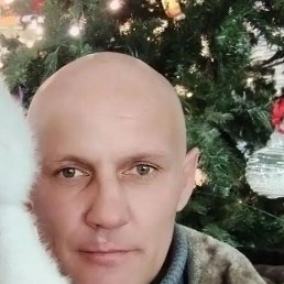 �������, 42 ����, ������