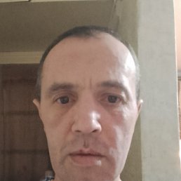 , 44, 