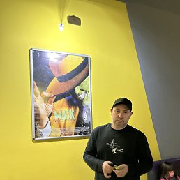 �������, 41 ���, ����