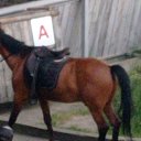 ���� �����, ���������, 63 ���� - ��������� 30 ������ 2024 � ������ ���� ����������