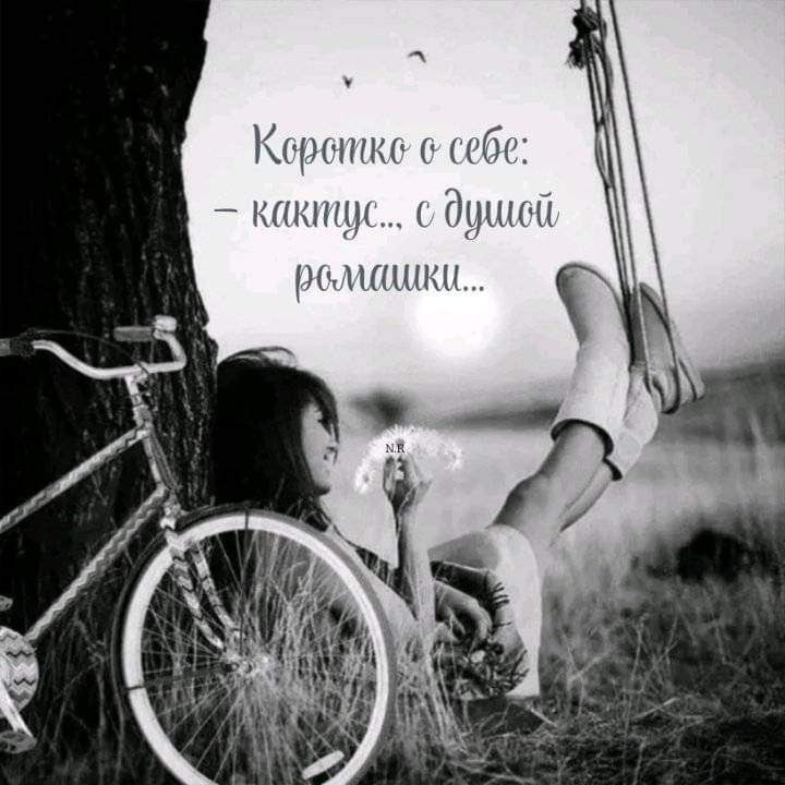   - 27  2025  07:59