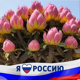 Nadegda, ����������, 47 ���