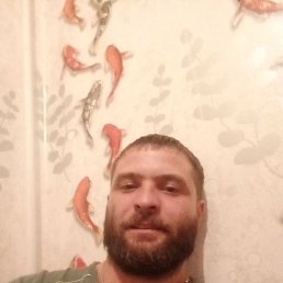  , 38, 
