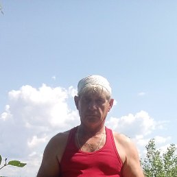 , 54 , 