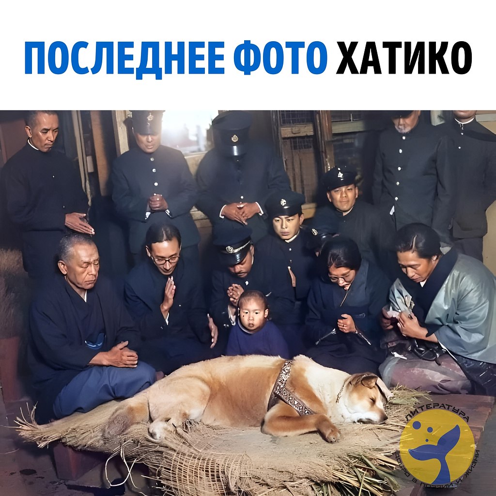 ������� ������ � ���� �� ����� ������� � ��������� �������� ����������� � ����. ����� ���� ��� ��� ...