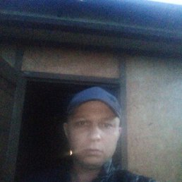 , 41, 