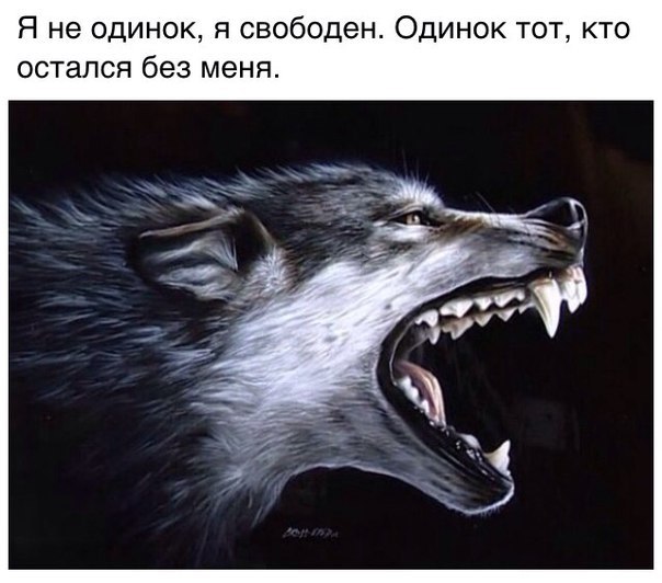  - 15  2025  13:34 - 4