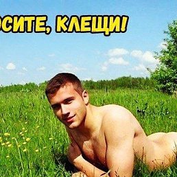 ������, 38 ���, ������ ��������