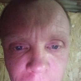 ���������, ������, 40 ���