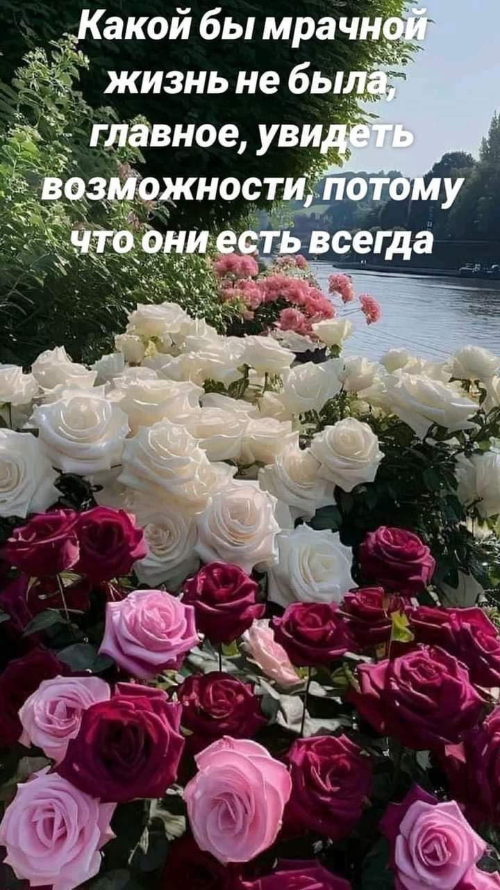  - 22  2024  13:17