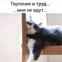 ���� �����, ������, 39 ��� - ��������� 2 ����� 2025 � ������ ������ ��������