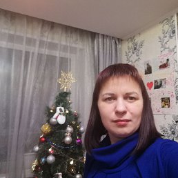 ���� �������, ������, 41 ��� - ��������� 20 ������ 2024