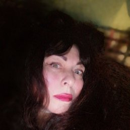 ���� �����, �����, 52 ���� - ��������� 8 ����� 2024