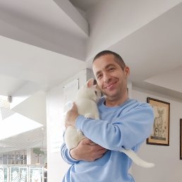 , 41, 