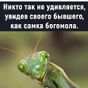 ���� ������, ��������, 54 ���� - ��������� 26 ���� 2024 � ������ ������ ��������