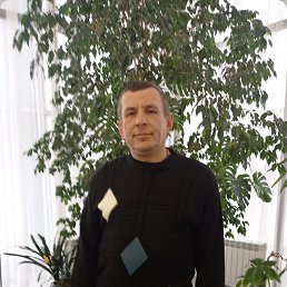 , 43,  