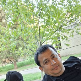 , 40, 