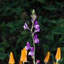  , -, 67  -  24  2023    