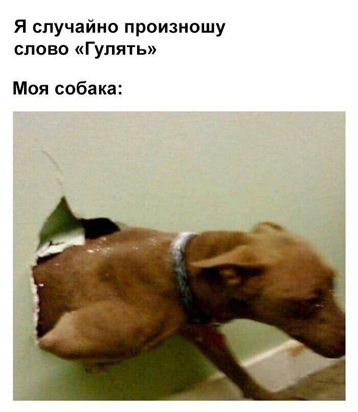    - 21  2023  08:21