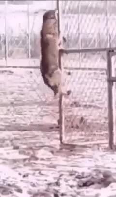 o�� �peo�o�e�ae� o�pa��e��e �o��epa.