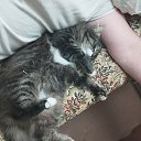 ���� ����, ������, 38 ��� - ��������� 1 ������ 2024 � ������ ���� ����������