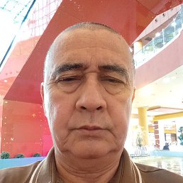 ����, ������, 66 ���