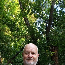 �������, 66 ���, ������