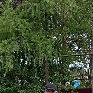 �������, 48 ���, �����